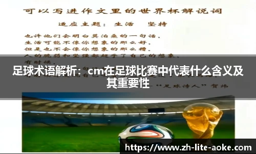 澳客足彩网站